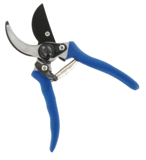 Snoeischaren en zagen